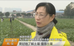 QQ图片20190124021639_副本.png