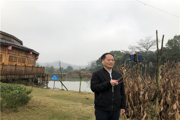 昭山镇人口(2)