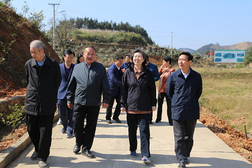 袁新华赴益阳开展专题调研 贯彻落实十九大精神,进一步