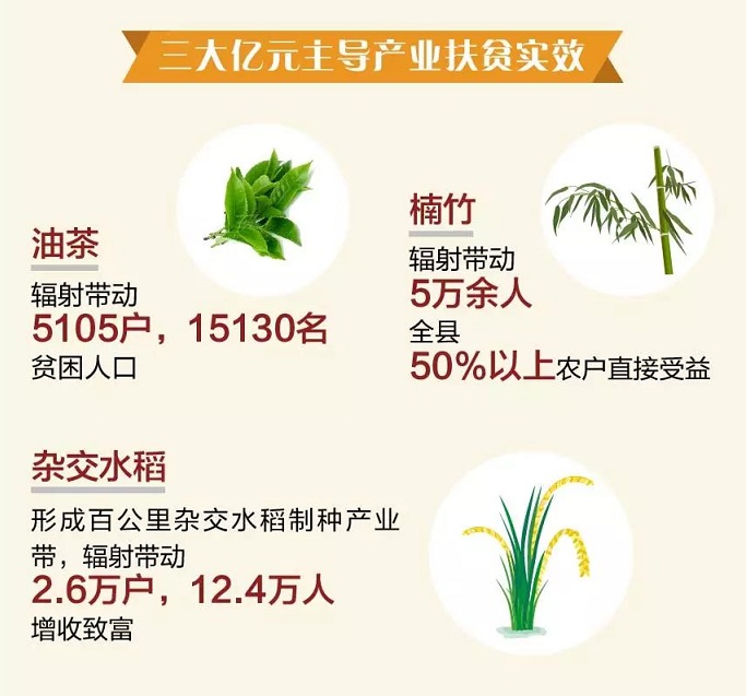19 - 副本.jpg 19 - 副本.jpg
