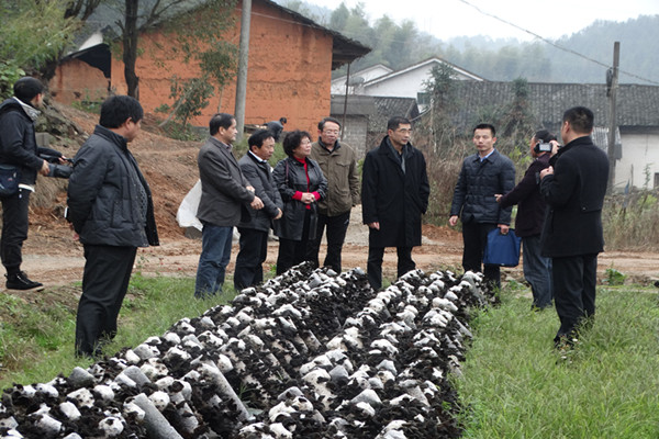 张大方赴平江县开展一进二访活动